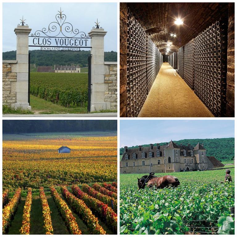 Datcha Bourguignonne Beaune Beaune  Kültér fotó